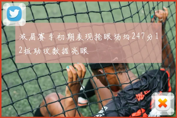 浓眉赛季初期表现抢眼场均247分12板助攻数据亮眼