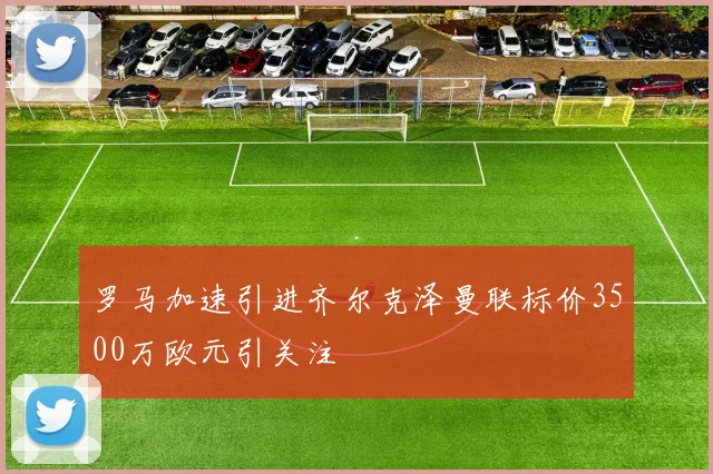 罗马加速引进齐尔克泽曼联标价3500万欧元引关注