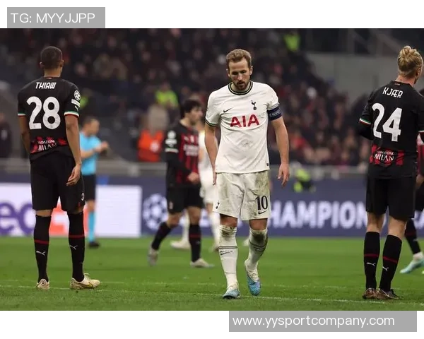 热刺对武什科维奇在汉堡的外租表现表示满意视其为球队重要一员